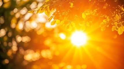 Radiant Sunlight Through Leaves