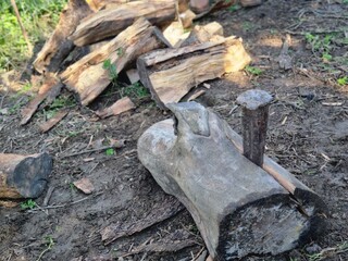 A log with a wedge hammered into it for splitting, surrounded by chopped firewood on the ground