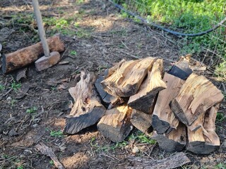 A pile of freshly chopped firewood lying on soil, with a sledgehammer nearby