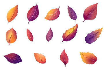 Obraz premium Autumn leaves isolated on white background, cut out png.