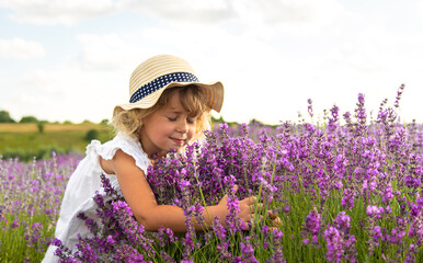 Child girl in lavender field. Selective focus.