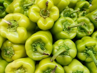 Closeup view of a vibrant group of fresh green bell peppers.