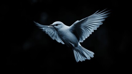 Obraz premium Serene Bird in Mid-Flight