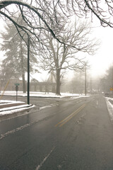 Cool toned snowy winter street scene