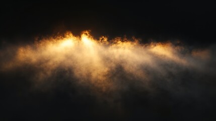 Fototapeta premium Dense fog light sunlight golden.