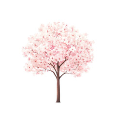 A Serene Sight: The Beauty of a Cherry Blossom Tree, With Its Soft Pink Petals Against a Solid Black Background, Evoking Feelings of Tranquility and Nature's Splendor