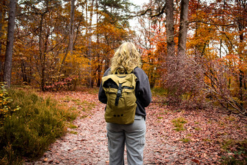 View on hiker in forest in autumn