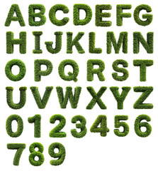Set of Shrubs Trimmed into Alphabets and Numbers on Transparent Background