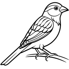 Obraz premium Bird In Park Vectors