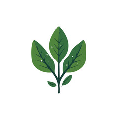A simple flat 2D icon of spinach isolated on a background, vector design, ideal for animation, UI/UX design, mobile apps, web design, digital illustrations