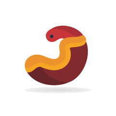 Simple flat 2D illustration of a stomach isolated on a white background, vector 2D design, icon, flat 2d