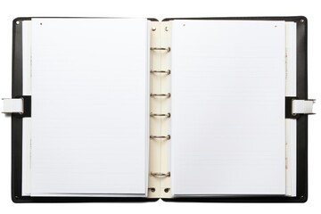Binder diary page open.