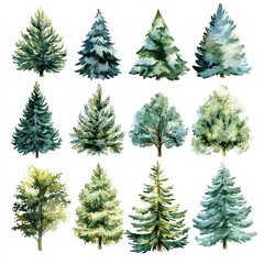 Obraz premium collection of Christmas trees in watercolor