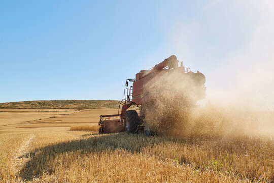 Combine harvester moving in wheat agricultural field