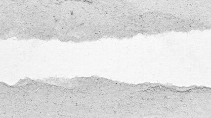 Torn gray white paper cardboard message background page with rough edges and blank copy space for...