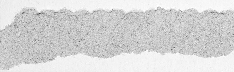 Torn gray white paper cardboard message background page with rough edges and blank copy space for text backdrop design element