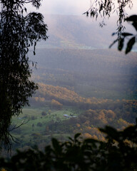 misty morning in the mountains