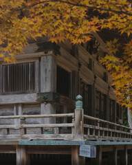 A traditional temple in Koyasan, Japan, framed by vibrant Japanese maple leaves, highlighting cultural heritage and serenity.