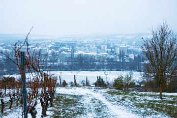 Snow covered path through a snowy vineyard in Wuerzburg during winter, with leafless vines and a...