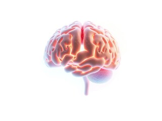 Digital representation of the human brain on white background, digital brain model, neural networks, cerebral cortex