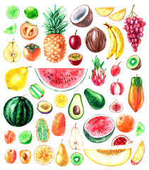 Hand drawn watercolor tropical fruit illustration set. Pineapple, coconut, grape, watermelon, melon, dragon fruit, banana, persimmon, avocado