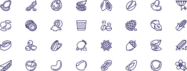 Nuts and seeds isolated icons set. Set of hazelnut, walnut, pumpkin seeds, peanuts .