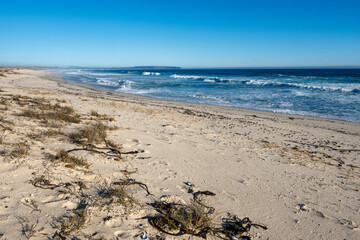 West Coast shoreline near Lamberts Bay with views south towards Elands Bay or Elandsbaai. Western...