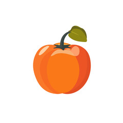 Simple flat 2D icon persimmon isolated on a transparent background, vector, flat design, animation design, vector, flat design, animation design, simple flat 2D icon, minimalist design