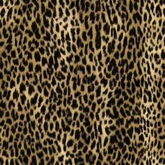 leopard, dark background, blurred cat fur design, hairy texture, modern design