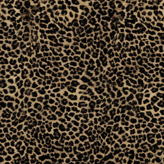 leopard, wool texture, fluffy background, bright wild cat print, stylish design