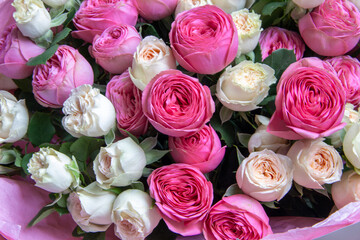 A large bouquet of pink and white roses close-up. Congratulations on the holiday. Love and tenderness. Close up