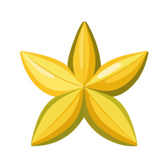Simple flat 2D illustration of star fruit isolated on a white background, vector 2D carambola fruit