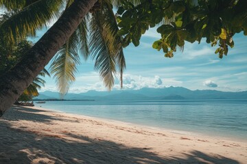 Naklejka premium Tropical Paradise: Expansive Beach Scene with Palm Trees and Ocean Under Bright Summer Sky