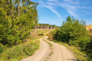 Landscape Der Harz national park, Germany.