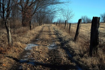 Fototapeta premium Rustic Scene: Weathered Wooden Fence Heading Toward Lush Trees in a Serene Farming Landscape
