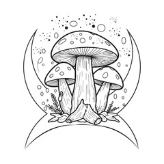 Hand Drawn Mystical Moon Collection