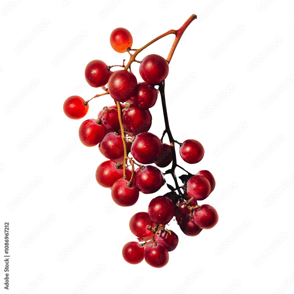 Poster fresh red grapes on a transparent background
