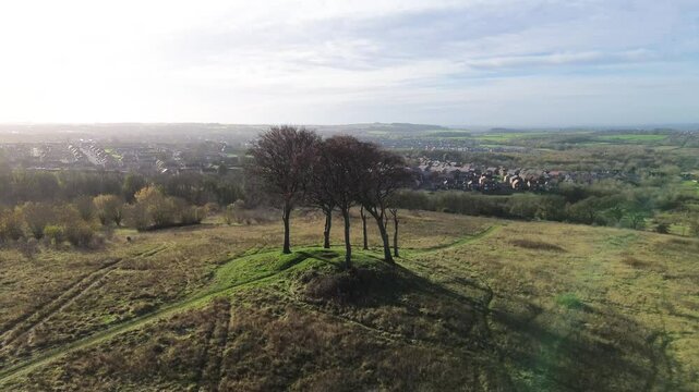 Aerial of 6 trees on ancient hilltop burial tumulus site. Seven Sisters, Houghton-Le-Spring, County Durham, UK