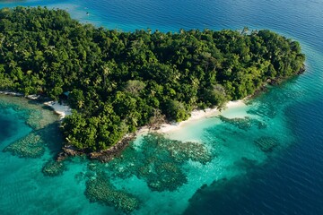 Fototapeta premium Serene Island Paradise: Aerial View of Lush Greenery and Crystal Clear Waters