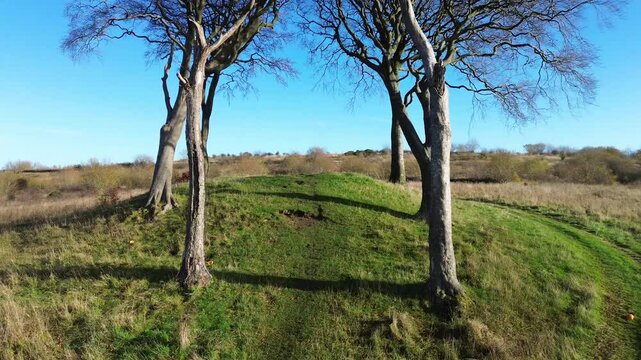 Drone flying through 6 lone trees on ancient burial tumulus site. Seven Sisters - Houghton-le-Spring, UK