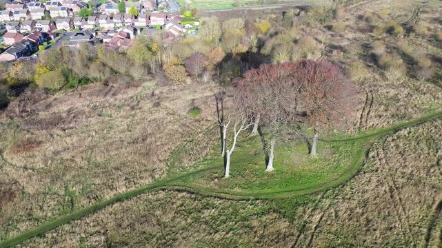 Aerial of 6 lone trees on ancient burial site with houses in distance. Seven Sisters - Houghton-le-Spring, UK