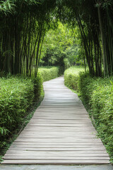 Obraz premium Serene Wooden Pathway in a Lush Bamboo Forest