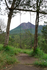 swing with a beautiful view of Mount Merapi