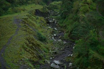 expanse of mountains with beautiful green trees