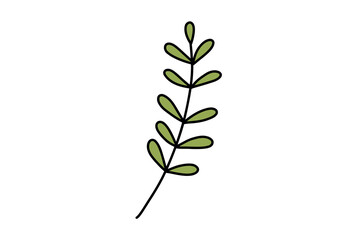 Doodle leaf. Branch exotic plant leaf. Jungle and rainforest. Stock vector cartoon flat illustration isolated on white background.