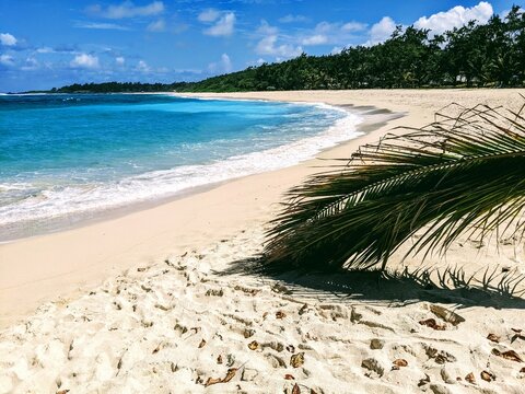 Coconut tree-lined sandy beach and aqua blue waters, La Cambuse Beach, French island of Mauritius