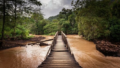 Fototapeta premium wooden bridge in the woods