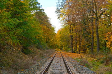 Obraz premium Picturesque landscape of railroad tracks stretching into the distance into autumn forest. Trees in vibrant shades of red, orange and yellow foliage create a stunning natural autumn blurred background.