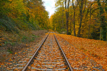 Picturesque landscape of railroad tracks stretching into the distance into autumn forest. Trees in vibrant shades of red, orange and yellow foliage create a stunning natural autumn blurred background.