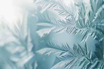 Delicate Frosted Leaves in Soft Focus with a Cool Blue Hue, Capturing the Intricate Details of Nature's Winter Patterns and the Beauty of Cold Weather Environments